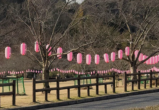 No.46 お花見さくら祭の協賛用9号長型ビニール提灯を製作いたしました。