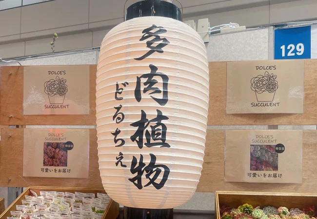 No.70 多肉植物専門店様の店外イベント用尺四長ビニール・9号丸型耐水和紙提灯を製作いたしました。