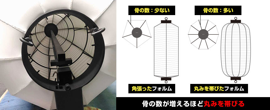 骨の数が増えるほど丸みを帯びる